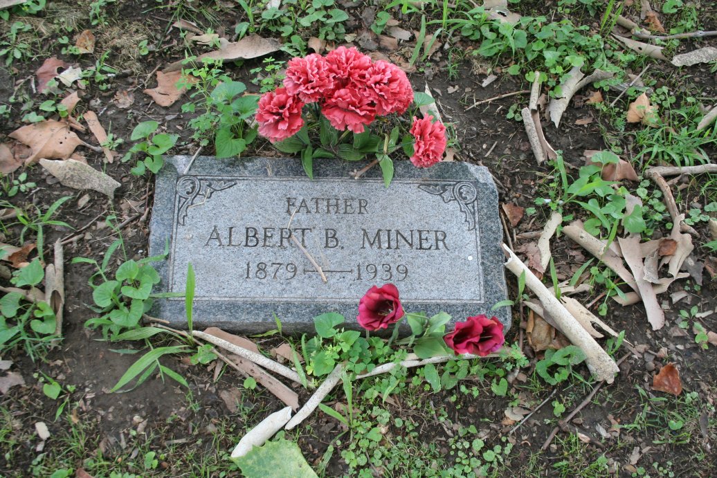 Albert Miner-grave